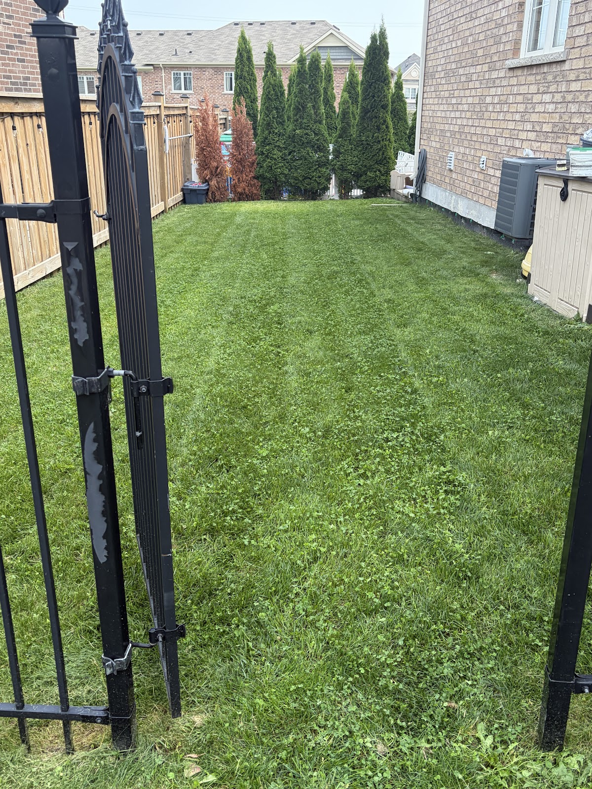 Completed backyard lawn care in Pickering by Snow and Lawn Brothers